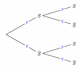 Figure fig_pb01_200109_probabilitytree_Bernouilli
